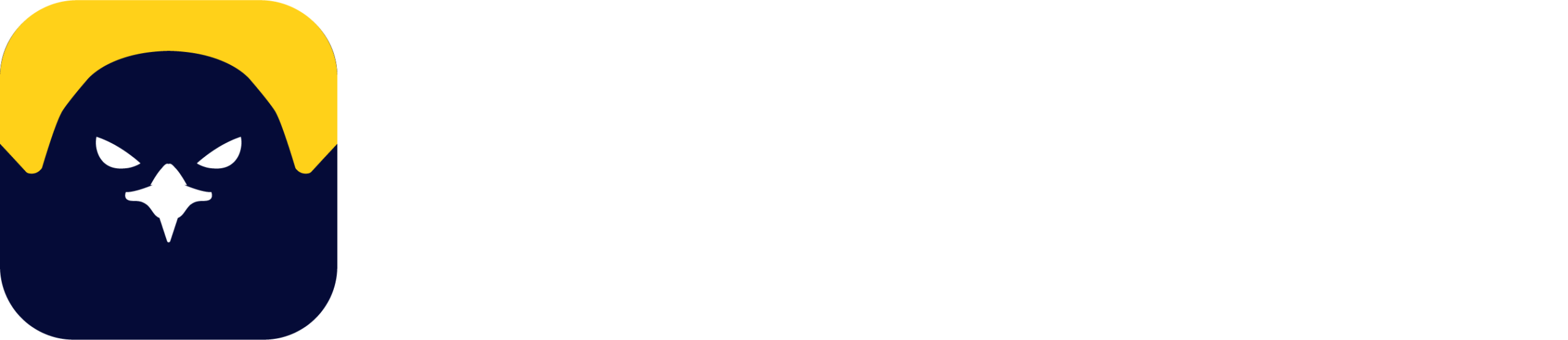 Pittertech Logo Premium